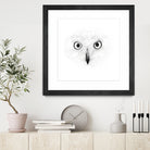 The Owl by Monica Cipriano on GIANT ART - white photo illustration