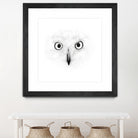 The Owl by Monica Cipriano on GIANT ART - white photo illustration