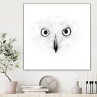 The Owl by Monica Cipriano on GIANT ART - white photo illustration