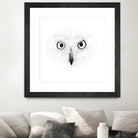 The Owl by Monica Cipriano on GIANT ART - white photo illustration