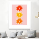 Citrus by Laura Turner on GIANT ART - pink processing/programming