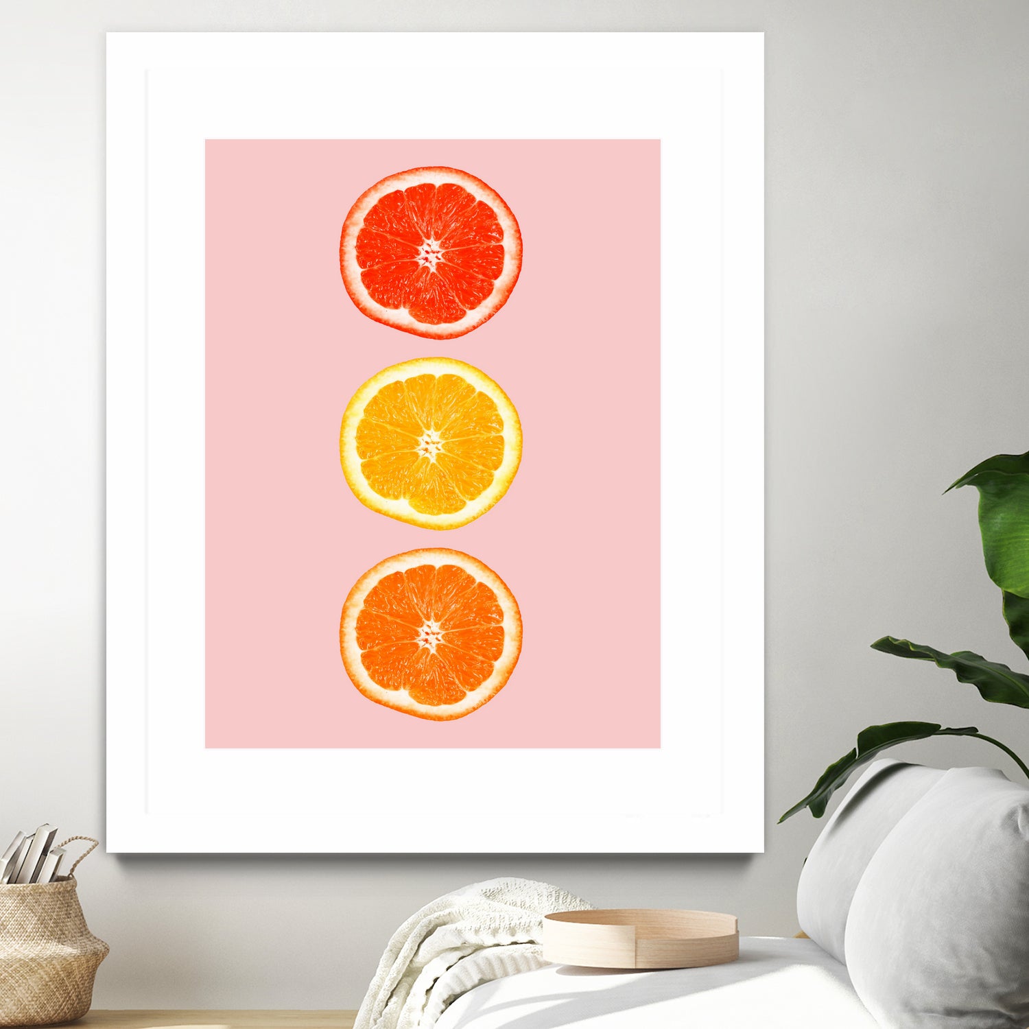 Citrus by Laura Turner on GIANT ART - pink processing/programming