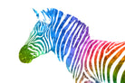 Zebra | Rainbow Series | Pop Art by William Cuccio on GIANT ART - white digital painting