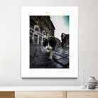 Street Cat by Nicklas Gustafsson on GIANT ART - black mixed media