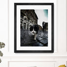 Street Cat by Nicklas Gustafsson on GIANT ART - black mixed media