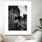 Street Cat by Nicklas Gustafsson on GIANT ART - black mixed media