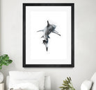 Shark II by Marcou Alexis on GIANT ART - digital drawing