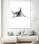 Shark III by Marcou Alexis on GIANT ART - digital drawing