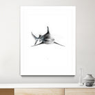 Shark III by Marcou Alexis on GIANT ART - digital drawing