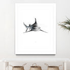 Shark III by Marcou Alexis on GIANT ART - digital drawing