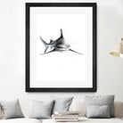 Shark III by Marcou Alexis on GIANT ART - digital drawing