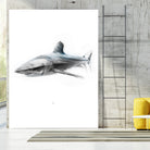 Shark I by Marcou Alexis on GIANT ART - gray digital drawing