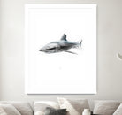 Shark I by Marcou Alexis on GIANT ART - gray digital drawing