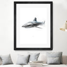 Shark I by Marcou Alexis on GIANT ART - gray digital drawing