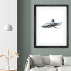 Shark I by Marcou Alexis on GIANT ART - gray digital drawing