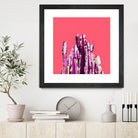 Majestic Cactus on Coral by Dominique Van Roey on GIANT ART - pink photo manipulation