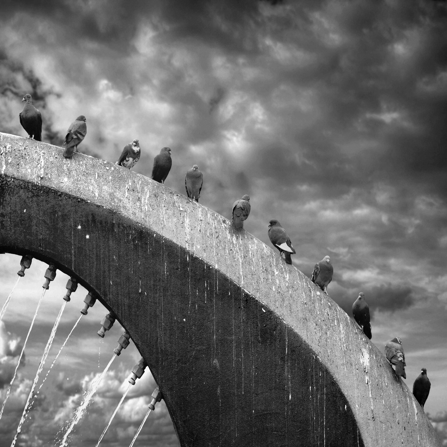 The Guardians by Dariusz Klimczak on GIANT ART - gray processing/programming