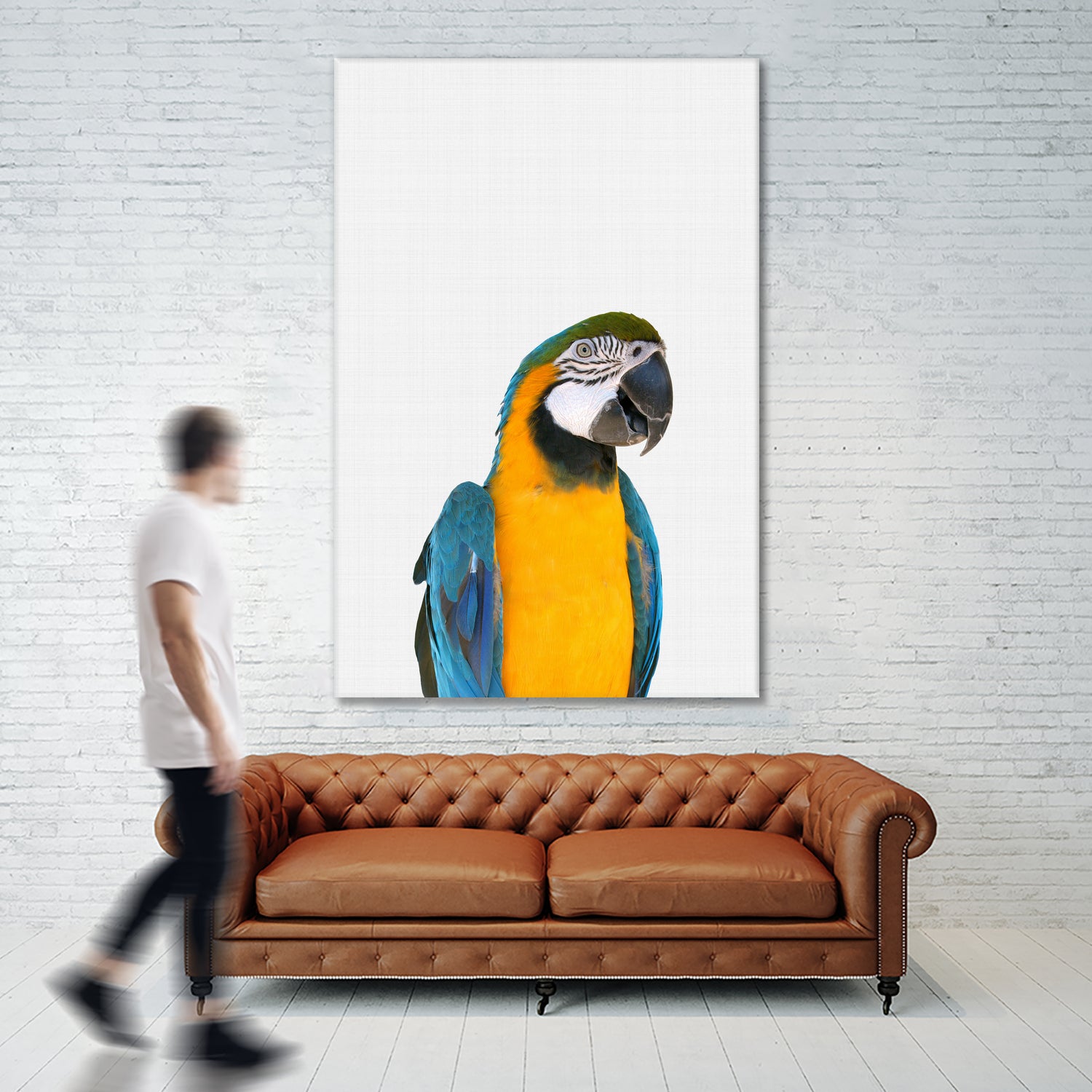 Macaw Parrot by Justinas Jokubauskas on GIANT ART - yellow photo manipulation