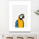 Macaw Parrot by Justinas Jokubauskas on GIANT ART - yellow photo manipulation