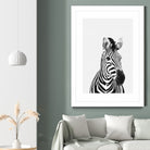 Zebra Portrait by Justinas Jokubauskas on GIANT ART - black photo manipulation