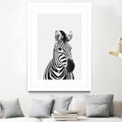 Zebra Portrait by Justinas Jokubauskas on GIANT ART - black photo manipulation