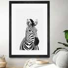 Zebra Portrait by Justinas Jokubauskas on GIANT ART - black photo manipulation