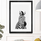 Zebra Portrait by Justinas Jokubauskas on GIANT ART - black photo manipulation