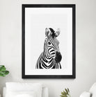 Zebra Portrait by Justinas Jokubauskas on GIANT ART - black photo manipulation