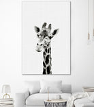 Giraffe Portrait by Justinas Jokubauskas on GIANT ART - black photo manipulation