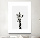 Giraffe Portrait by Justinas Jokubauskas on GIANT ART - black photo manipulation