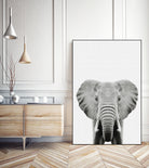 Elephant Portrait by Justinas Jokubauskas on GIANT ART - black photo manipulation