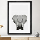 Elephant Portrait by Justinas Jokubauskas on GIANT ART - black photo manipulation