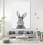 Rabbit Portrait by Justinas Jokubauskas on GIANT ART - black photo manipulation