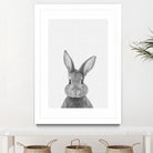 Rabbit Portrait by Justinas Jokubauskas on GIANT ART - black photo manipulation