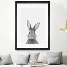 Rabbit Portrait by Justinas Jokubauskas on GIANT ART - black photo manipulation