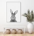 Rabbit Portrait by Justinas Jokubauskas on GIANT ART - black photo manipulation