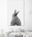 Rabbit Tail by Justinas Jokubauskas on GIANT ART - black photo manipulation