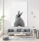 Rabbit Tail by Justinas Jokubauskas on GIANT ART - black photo manipulation