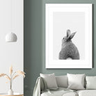 Rabbit Tail by Justinas Jokubauskas on GIANT ART - black photo manipulation