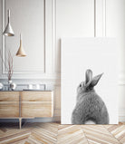 Rabbit Tail by Justinas Jokubauskas on GIANT ART - black photo manipulation
