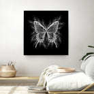 Black and White Butterfly Design by Brigitte Carre on GIANT ART - black digital painting