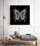 Black and White Butterfly Design by Brigitte Carre on GIANT ART - black digital painting