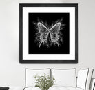 Black and White Butterfly Design by Brigitte Carre on GIANT ART - black digital painting