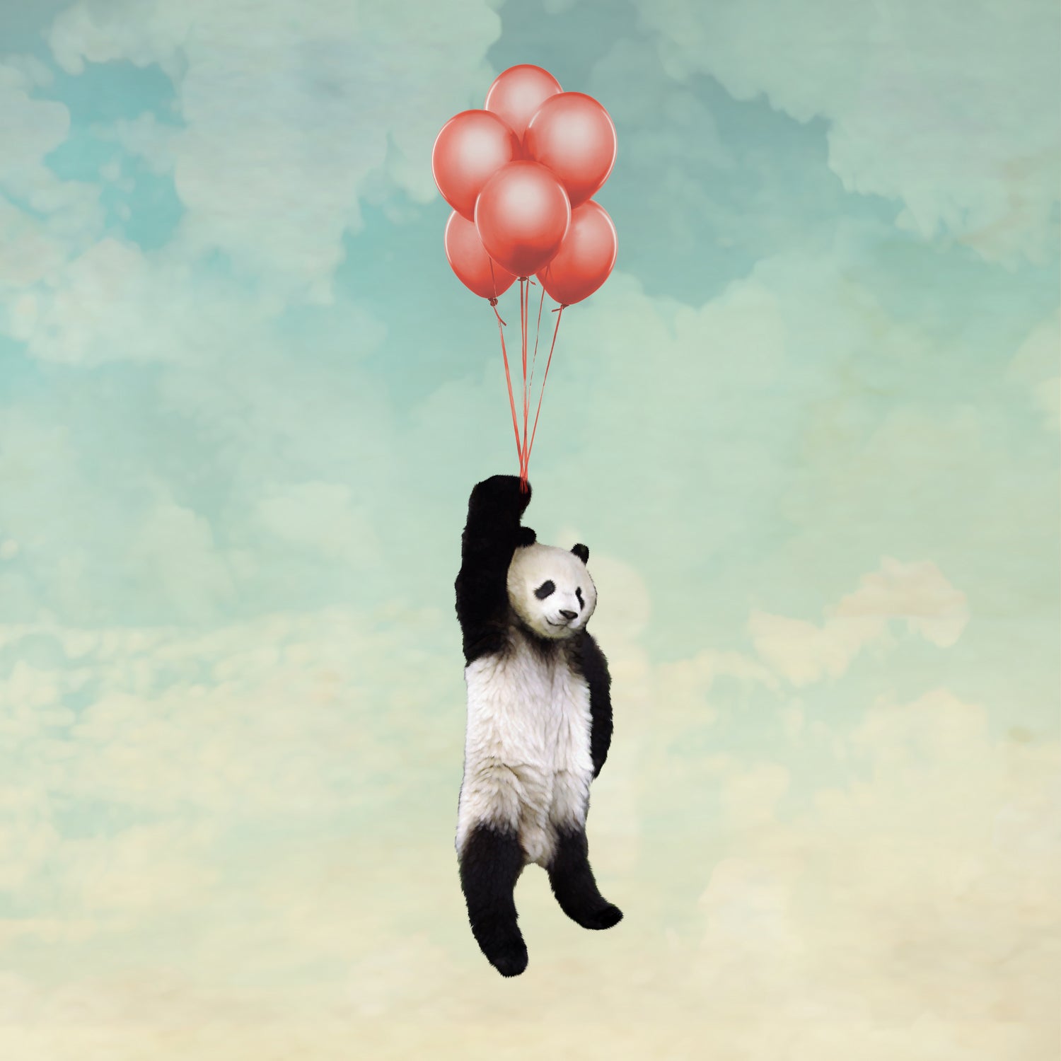 PANDALLOONS *** by Vin Zzep on GIANT ART - white digital painting