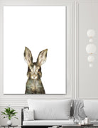 Little Rabbit by Amy Hamilton on GIANT ART - digital painting