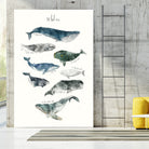 Whales by Amy Hamilton on GIANT ART - blue mixed media