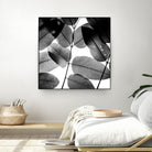 Experiments with Leaves by Tal Paz-Fridman on GIANT ART - gray photo illustration