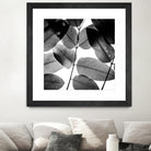 Experiments with Leaves by Tal Paz-Fridman on GIANT ART - gray photo illustration