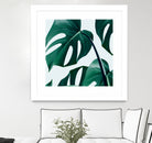 Monstera by Uma Gokhale on GIANT ART - green digital painting