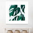 Monstera by Uma Gokhale on GIANT ART - green digital painting